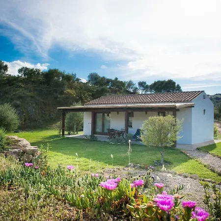 Vacanze S'arrexina